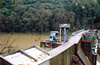 Freshwater fish endangered by small hydropower projects, study